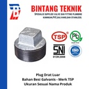 Plug 1" inch Besi Galvanis TSP