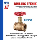 Globe Valve 2 1/2" inch Bronze Kitz Class #150