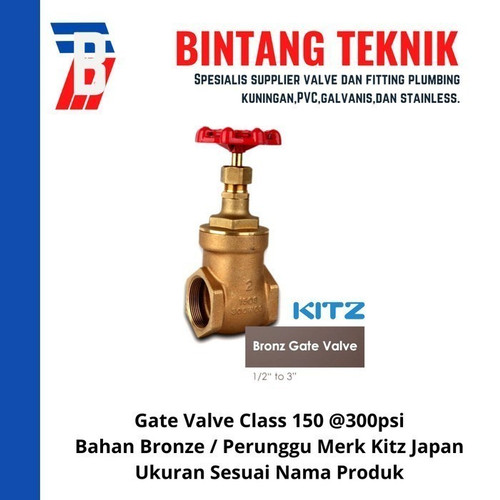 Gate Valve 3" inch Bronze Kitz Class #150