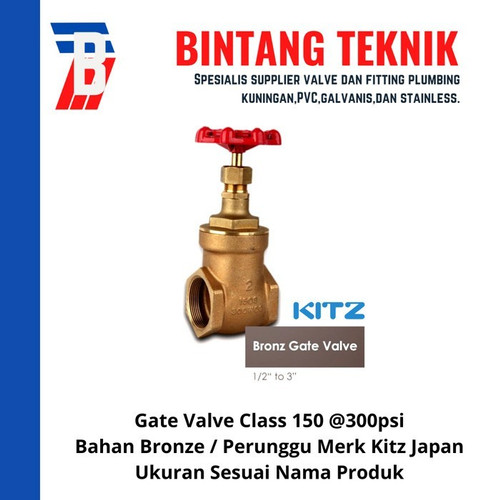 Gate Valve 1 1/4" inch Bronze Kitz Class #150