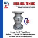 Swing Check Valve PVC 6" inch CM - Flange