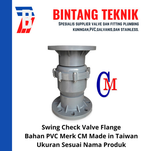 Swing Check Valve PVC 2" inch CM - Flange