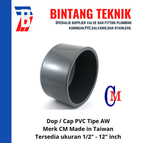 Dop / Cap 10" inch PVC AW Merk CM Taiwan