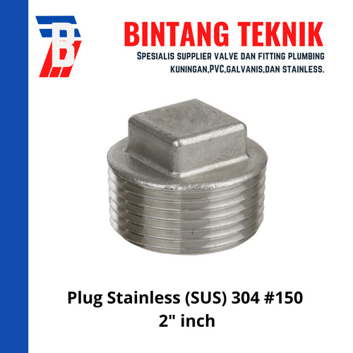 Plug 2" inch Stainless 304 #150