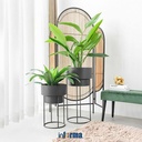 Informa - Pot Tanaman 75.5 Cm Set 2 Pcs Dengan Stand - Hitam