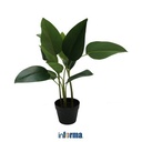 Informa - Informa 70 Cm Tanaman Buatan Strelitzia Gs08 - Hijau