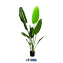 Informa - Tanaman Artifisial Strelitzia Gs43 30x30x180 Cm