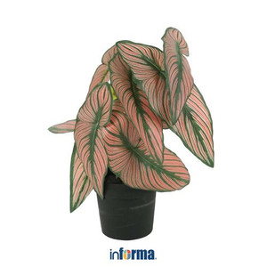 Informa - Tanaman Artifisial Daun Dengan Pot P4c 22x22x35 Cm