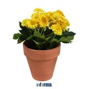 Informa - Bunga Artifisial 16.5 Cm Dengan Pot - Kuning