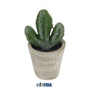 INFORMA - BUNGA ARTIFISIAL - ARTIFICIAL SUCCULENT IN POT T8 6X6X10CM