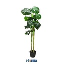 INFORMA -TANAMAN ARTIFISIAL - ARTIFICIAL PLANTS LY12 16X16X117CM GREEN