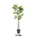 INFORMA -TANAMAN ARTIFISIAL - ARTIFICIAL PLANTS LY14 20X20X160CM GREEN