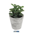 INFORMA - BUNGA ARTIFISIAL - ARTIFICIAL SUCCULENT IN POT Y7 6X6X10CM