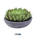 INFORMA - BUNGA PLASTIK - ARTIFICIAL CHRYSANT IN POT 8G 14.7X8.9CM