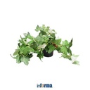 INFORMA - BUNGA PLASTIK - ARTIFICIAL FLOWER IN POT 7WH WHITE 45CM