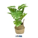 TANAMAN PLASTIK - ARTIFICIAL LEAVES IN POT SK9 28X28X35CM