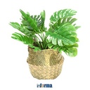 TANAMAN PLASTIK - ARTIFICIAL LEAVES IN POT SK6 30X30X25CM