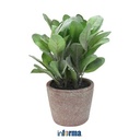 TANAMAN PLASTIK - ARTIFICIAL PLANTS 8LY 12X12X30CM GREEN