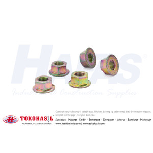 Mur Flange M 6 / Flange Nut M6 - P1.00 (ECERAN)