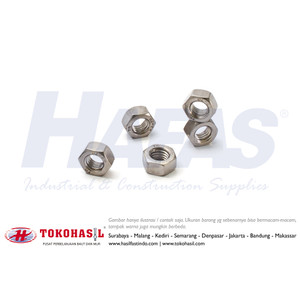 Hex Nut A2 / Mur Stainless Steel SUS304 M16 - P2.00