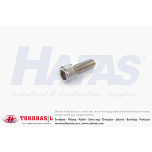 Socket Cap Screw / Baut L Stainless M5 x 25 - P0.80 (SUS304)