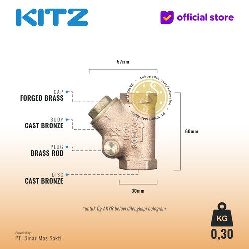 NPT Klep Tabok / Swing Check Valve KITZ Fig. AK150YR , Drat / Screw