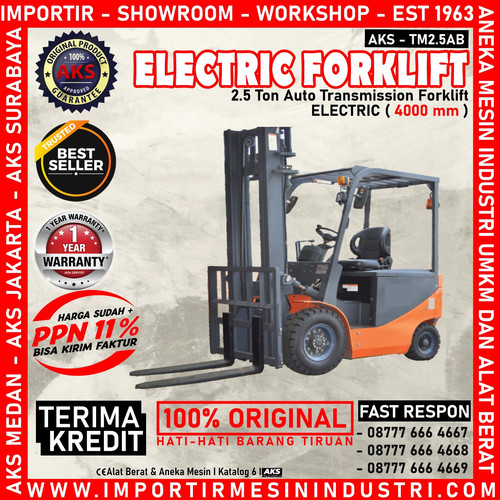 Electric Forklift Auto Transmission Battery 2,5 Ton TERLARIS - TM2.5AB