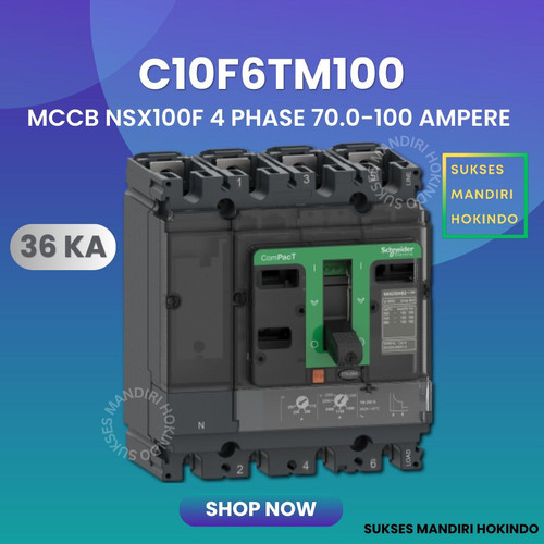 MCCB 4 Phase 100 Ampere 4P 100A Breaker NSX100F 36kA C10F6TM100 4 Pas 100 Amper Schneider Original SNI