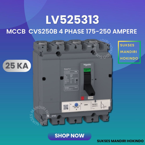 MCCB 4 Phase 250 Ampere 4P 250A Breaker CVS250B 25kA LV525313 4 Pas 250 Amper Schneider Original SNI