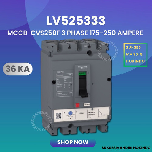 MCCB 3 Phase 250 Ampere 3P 250A Breaker CVS250F 36kA LV525333 3 Pas 250 Amper Schneider Original SNI