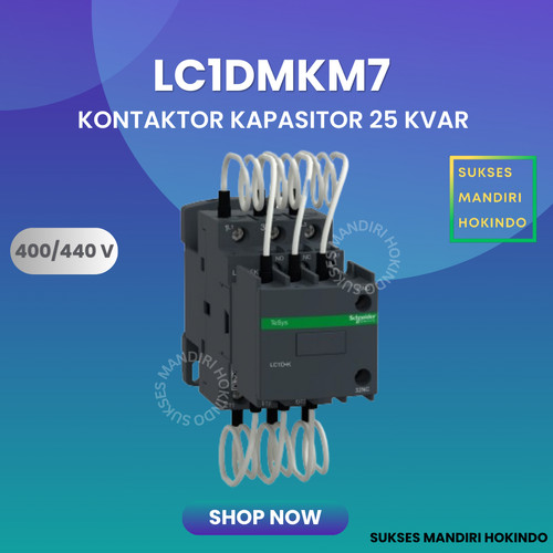 Kontaktor Kapasitor Schneider LC1DK 25kVAr 400-415V 220 VAC LC1DMKM7 Original SNI