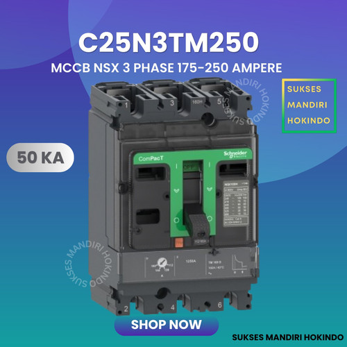 MCCB 3 Phase 250 Ampere 3P 250A Breaker 50kA 175-250 Amper C25N3TM250 NSX250N Schneider Original SNI