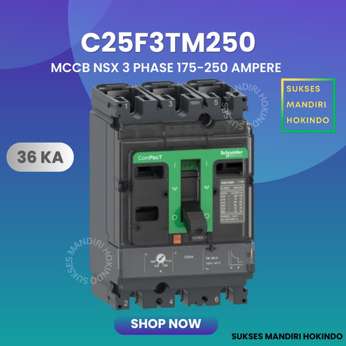 MCCB 3 Phase 250 Ampere 3P 250A Breaker 36kA 175-250 Amper C25F3TM250 NSX250F Schneider Original SNI