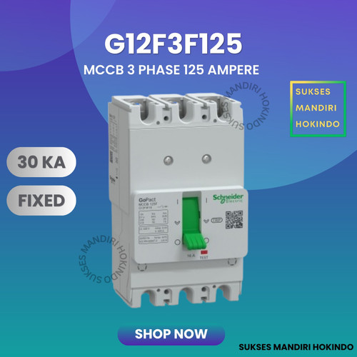 MCCB 3 Phase 125 Ampere 3P 125A Breaker 30kA G12F3F125 Gopact 415 V AC Schneider Original SNI