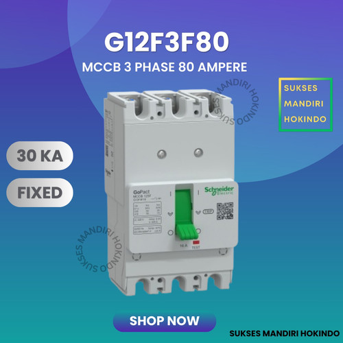 MCCB 3 Phase 80 Ampere 3P 80A Breaker 30kA G12F3F80 Gopact 415 V AC Schneider Original SNI