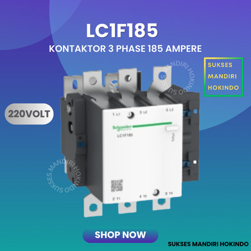 Kontaktor 3 Phase 185 Ampere 3P 185A LC1F185 220V Schneider ORI SNI