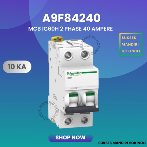 MCB 2P 40A 2 Phase 40 Ampere IC60H 10kA Schneider ORI SNI 2 Pole 40 A