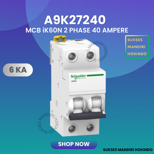 MCB 2P 40A 2 Phase 40 Ampere IK60N 6kA Schneider ORI SNI 2 Pole 40A