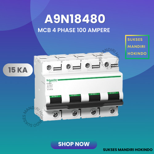 MCB C120H 4P 100A 4 Phase 100 Ampere 15kA Schneider Original SNI