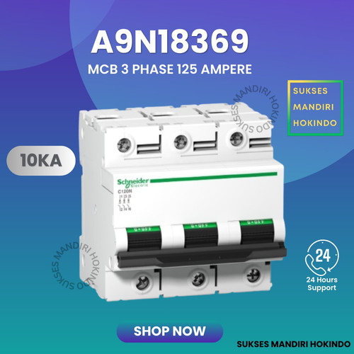 MCB 3 Phase 125 Ampere C120N 10kA Schneider 3P 125A Original SNI