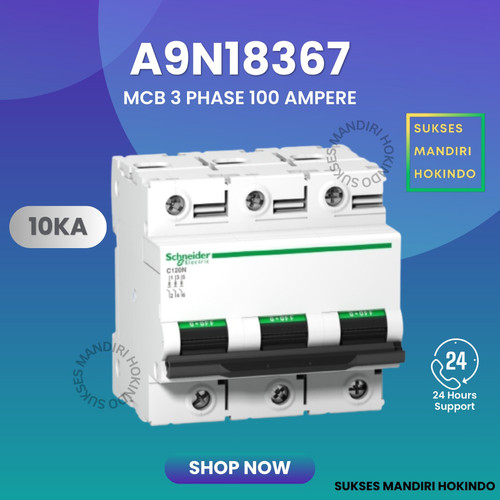 MCB C120N 3P 100A 3 Phase 100 Ampere 10kA Schneider ORI SNI