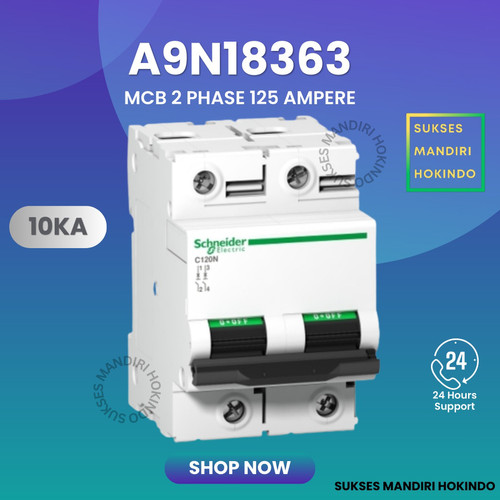 MCB 2 Phase 125 Ampere C120N 10kA Schneider 2P 125A Original SNI 100%