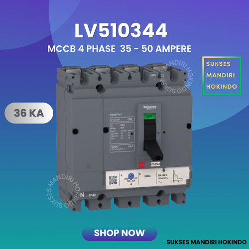 MCCB 4P 50A TM50D Breaker CVS100F 36kA Schneider Original SNI LV510344