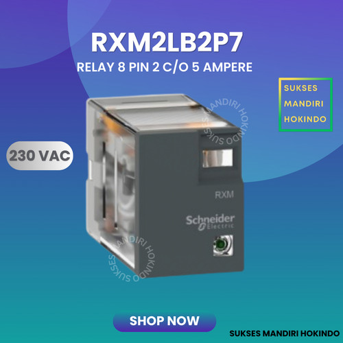 Relay Schneider RXM2LB2P7 230 V AC Original SNI 50/60 Hz