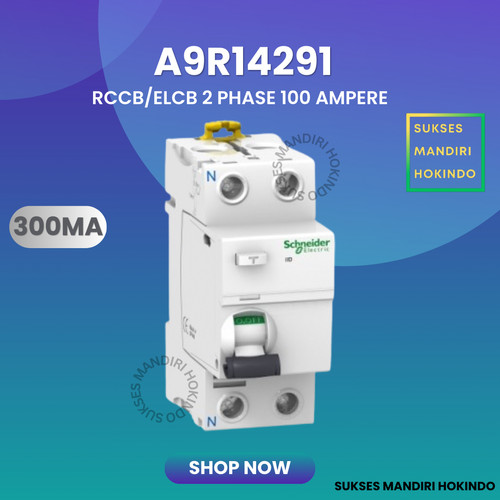 Elcb 2P 100A 2Phase 100Ampere 300mA RCCB ilD Schneider A9R14291 ORI