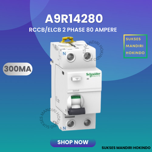 Elcb 2P 80A 2Phase 80Ampere 300mA RCCB ilD Schneider A9R14280 Original