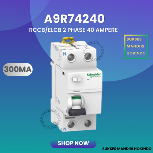 Elcb 2P 40A 2Phase 40Ampere 300mA RCCB ilD Schneider A9R74240 Original