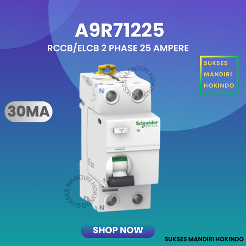 Elcb 2P 25A 2Phase 25Ampere 30mA RCCB ilD Schneider A9R71225 Original