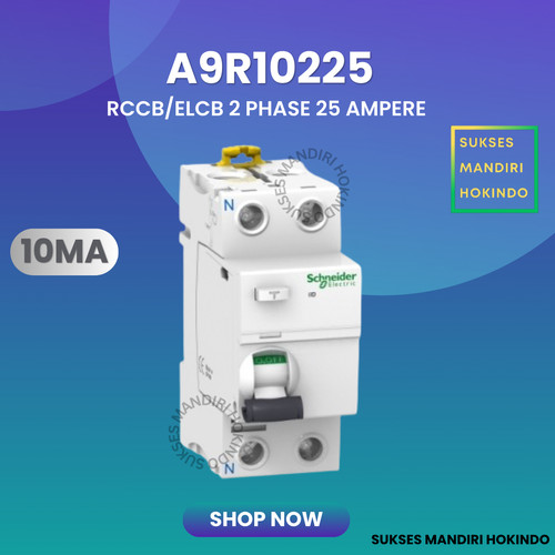 Elcb 2P 25A 2Phase 25Ampere 10mA RCCB ilD Schneider A9R10225