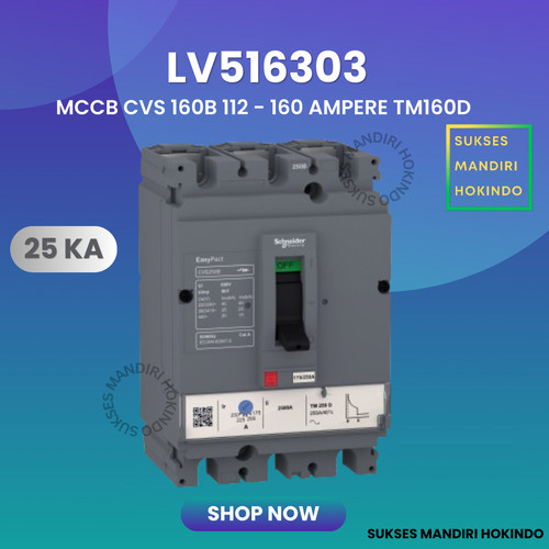 MCCB 3P 160A 25kA CVS160 B TM160D LV516303 Schneider Original SNI